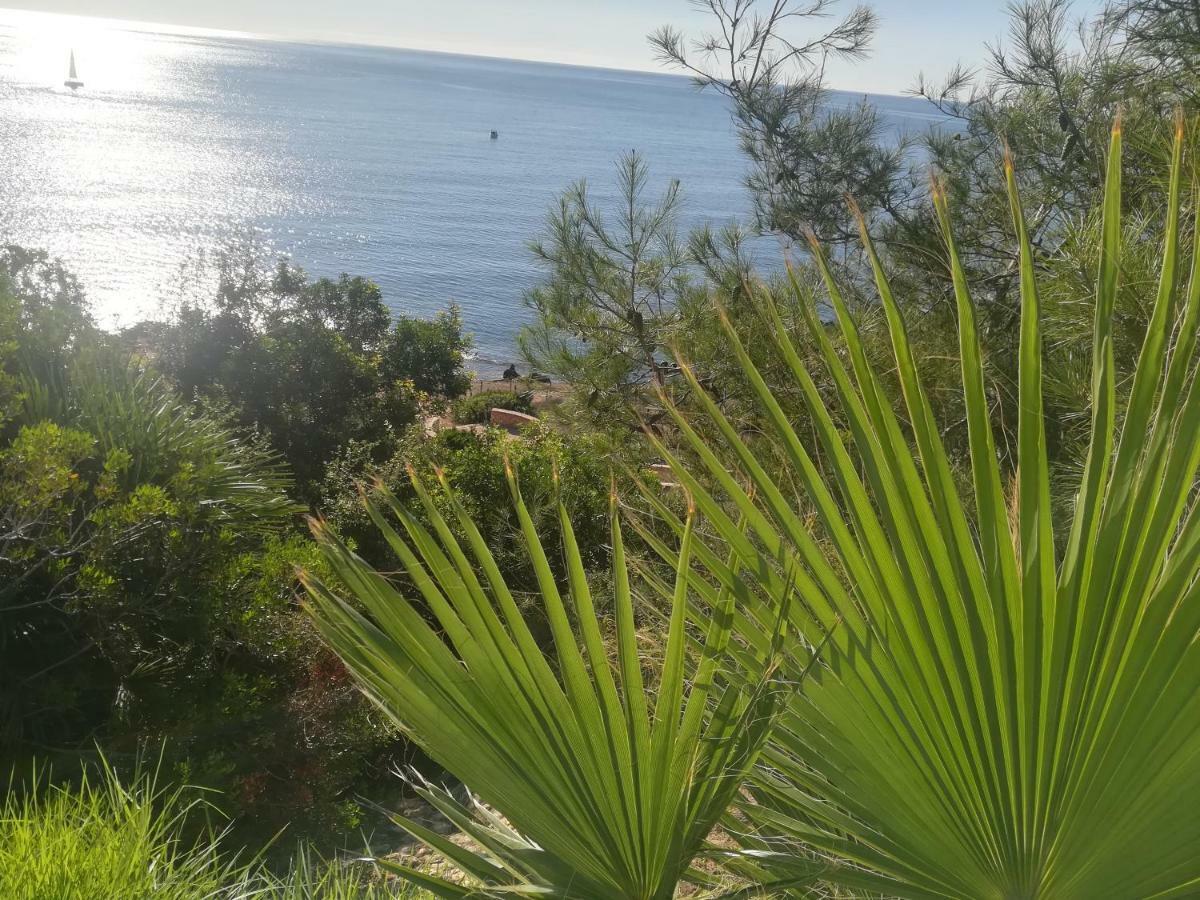 Cabo Roig Bellavista III Apartment Екстериор снимка