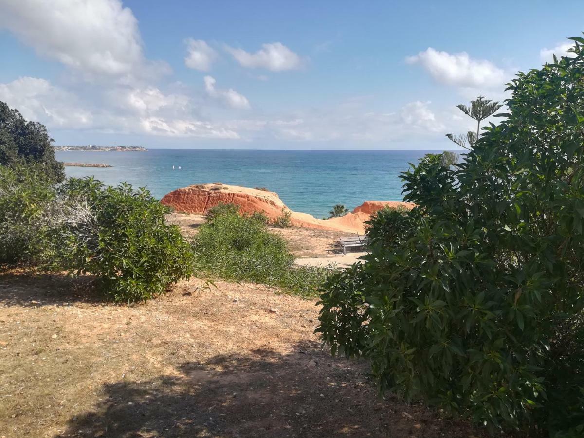 Cabo Roig Bellavista III Apartment Екстериор снимка